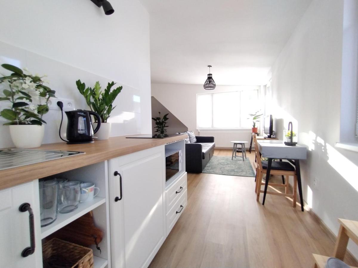 Attic Apartment Catnip Bratislava Bagian luar foto