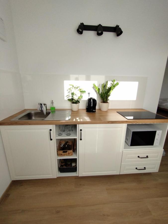 Attic Apartment Catnip Bratislava Bagian luar foto